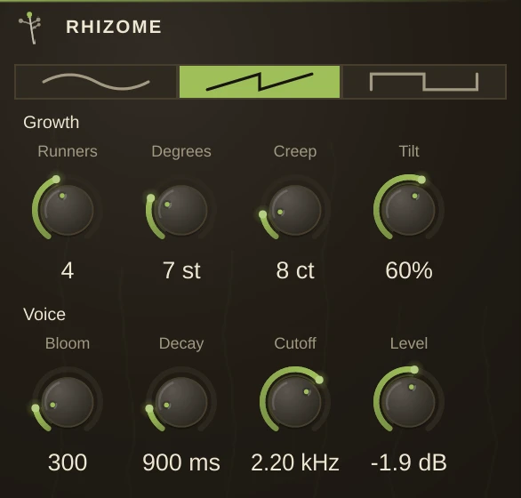 Rhizome editor