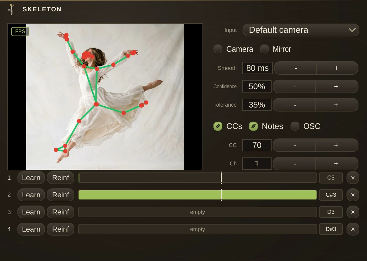 Skeleton editor