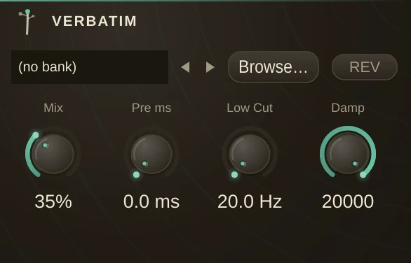 Verbatim editor